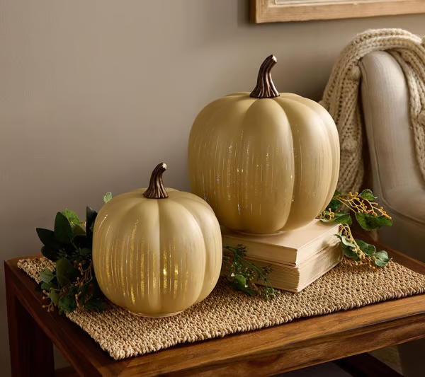 🎄Christmas Special: Valerie's Sparkling Starry Night Pumpkin