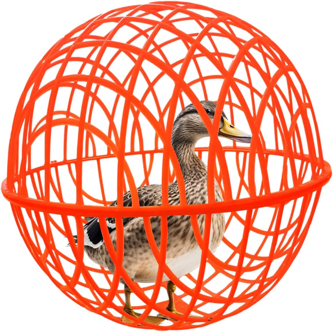 🐔Rolling Chicken Coop 🥅 - Portable Outdoor Pet Enclosure 🔗
