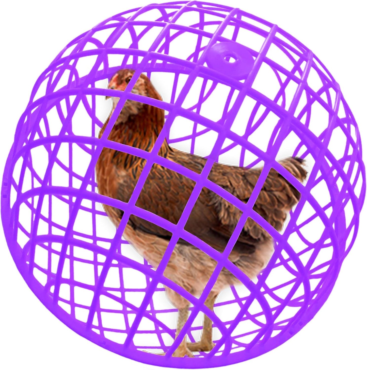🐔Rolling Chicken Coop 🥅 - Portable Outdoor Pet Enclosure 🔗