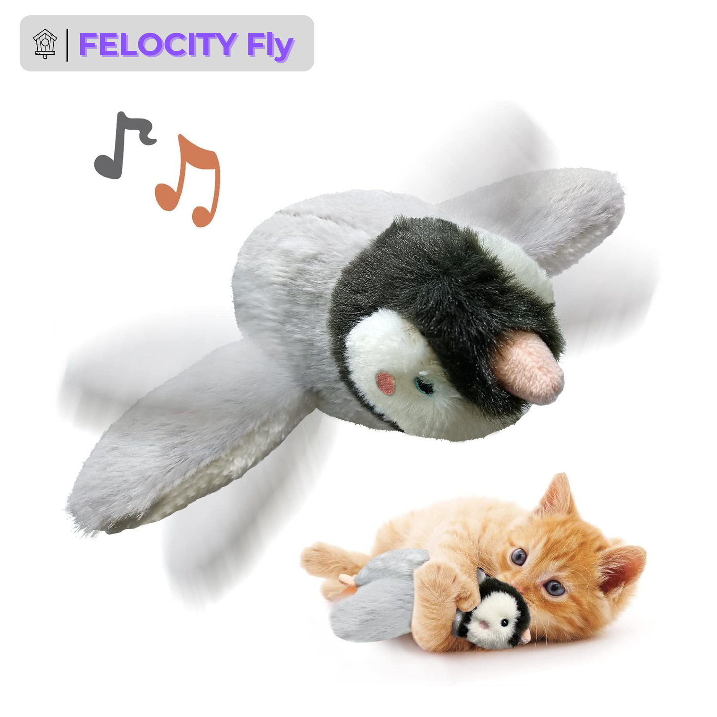 🐱Cat toys, flapping-winged penguins, interactive birds that chirp 🐦