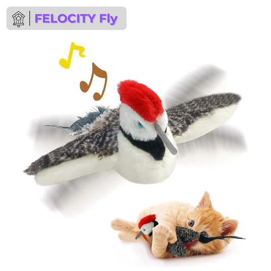 🐱Cat toys, flapping-winged penguins, interactive birds that chirp 🐦