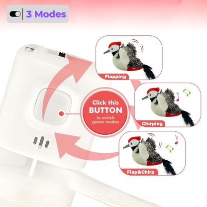 🐱Cat toys, flapping-winged penguins, interactive birds that chirp 🐦